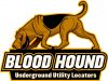 BLOOD HOUND ID STORE