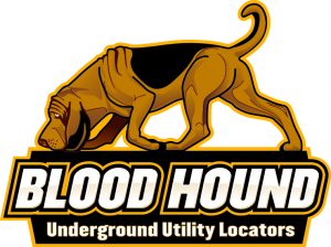 BLOOD HOUND ID STORE